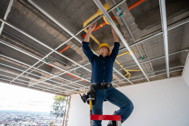 Best Residential Plumbing Services  in Wellston, MO