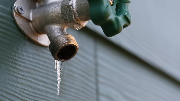Best Affordable Plumbing Services  in Wellston, MO